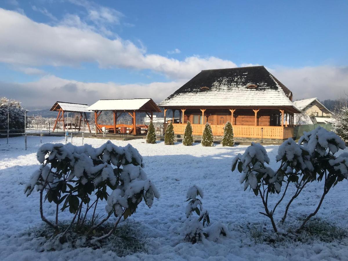 Casa Eli Otel Vişeu de Sus Dış mekan fotoğraf